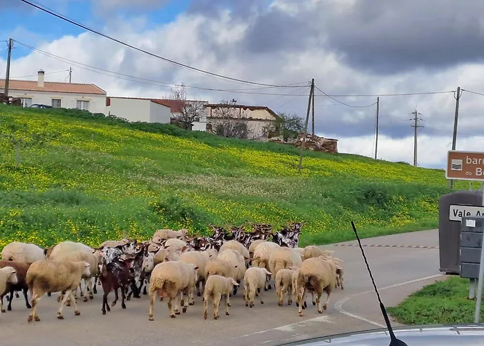 Casa Azul Do Cerro 別荘 *