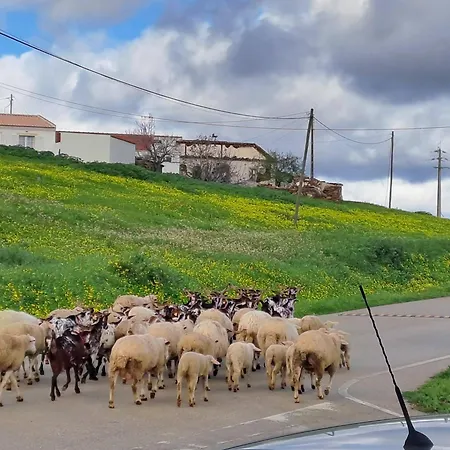 Casa Azul Do Cerro Casa de Férias *